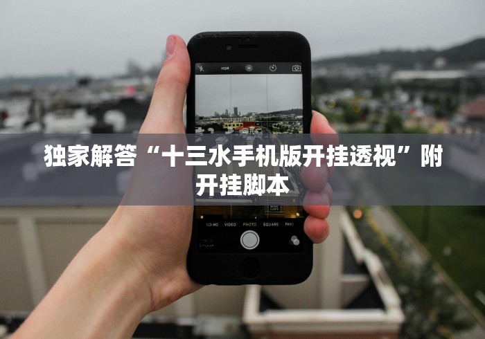 最新引进“正版闲来玩十三水可以开挂是真的吗？”(原来确实是有插件)