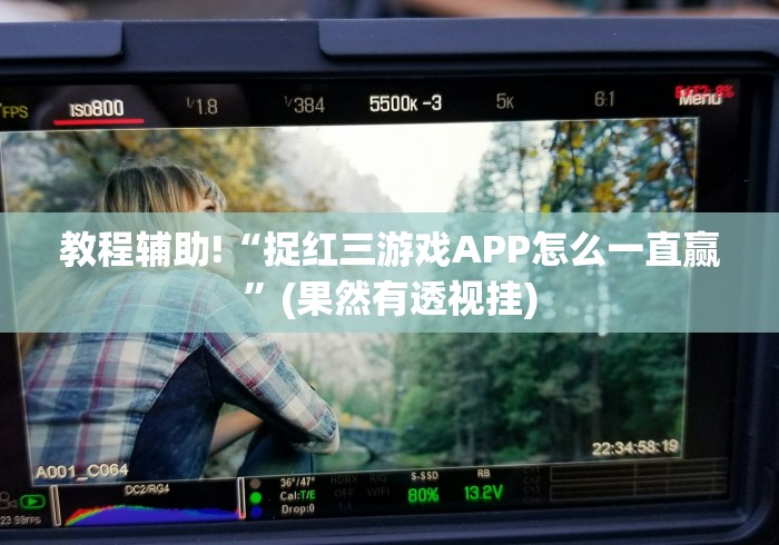 盘点皮皮跑胡子有没有挂”分享用挂教程