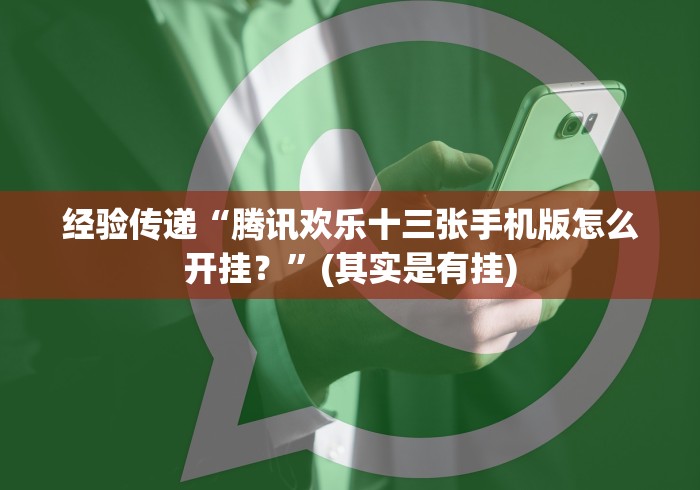 实测辅助“途游跑胡子神器链接”(其实是有挂)