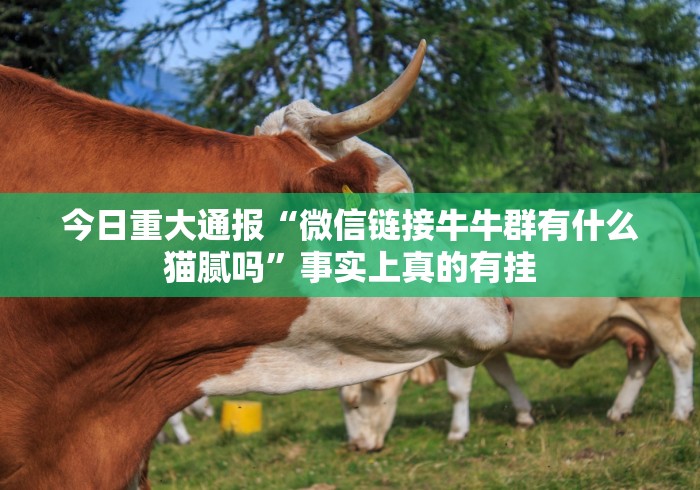 五分钟了解十三水娱乐中心可以开挂不”开挂(透视)辅助