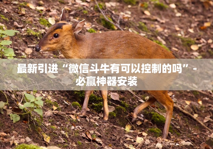 最新引进“微信斗牛有可以控制的吗”-必赢神器安装