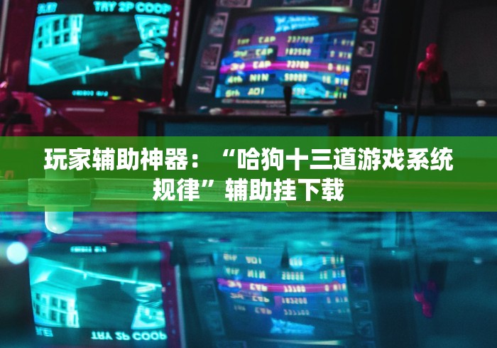 玩家辅助神器：“哈狗十三道游戏系统规律”辅助挂下载