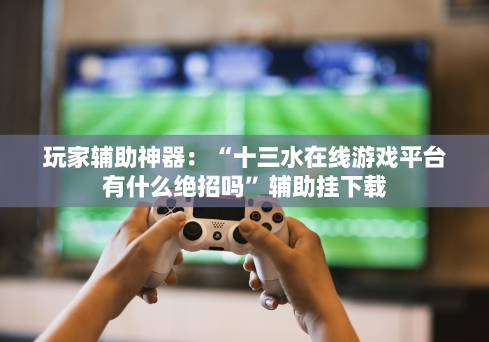 玩家辅助神器：“十三水在线游戏平台有什么绝招吗”辅助挂下载