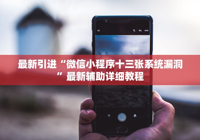 最新引进“微信小程序十三张系统漏洞”最新辅助详细教程