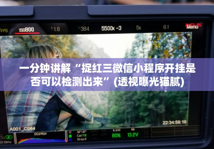 一分钟讲解“捉红三微信小程序开挂是否可以检测出来”(透视曝光猫腻)