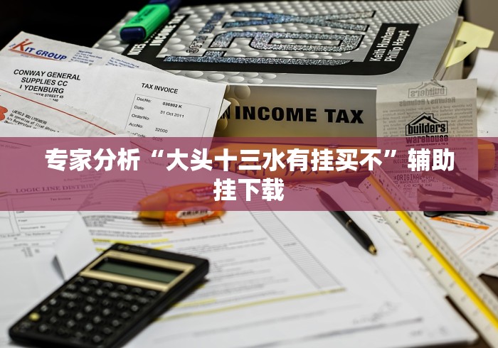 专家分析“大头十三水有挂买不”辅助挂下载