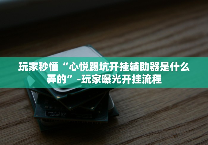 玩家秒懂“心悦踢坑开挂辅助器是什么弄的”-玩家曝光开挂流程