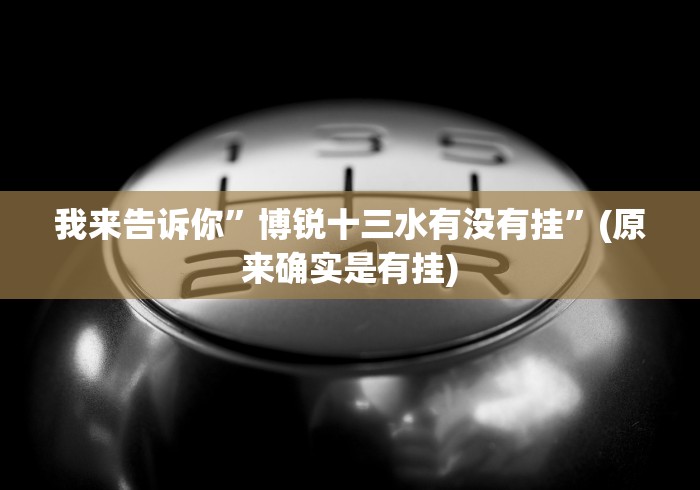 我来告诉你”博锐十三水有没有挂”(原来确实是有挂)