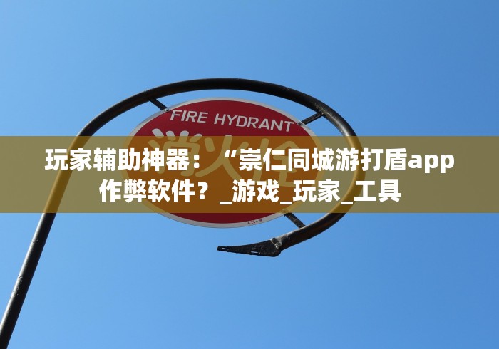 玩家辅助神器：“崇仁同城游打盾app作弊软件？_游戏_玩家_工具