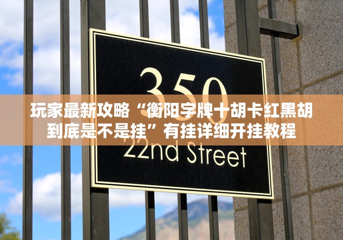 玩家最新攻略“衡阳字牌十胡卡红黑胡到底是不是挂”有挂详细开挂教程