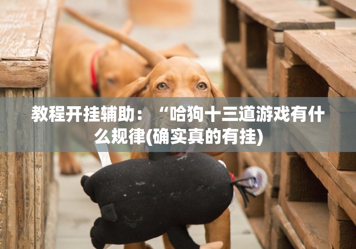 【盘点十款】“浙江十三道能开挂吗”详细开挂玩法