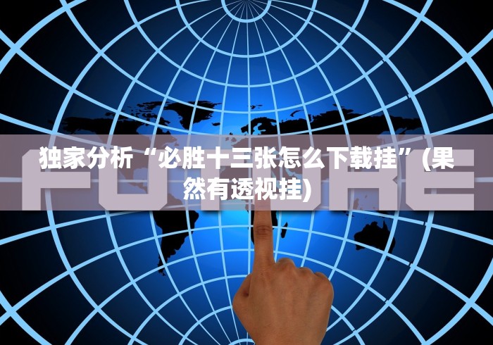 推荐一款”闲游十三水系统规律”(原来确实是有插件)