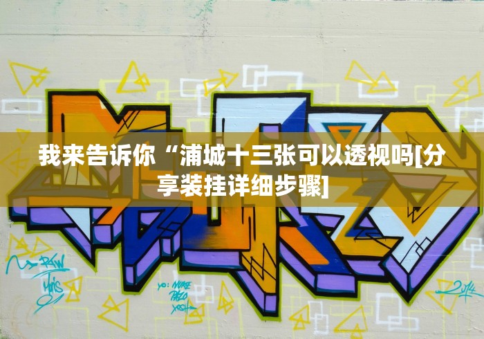 我来告诉你“浦城十三张可以透视吗[分享装挂详细步骤]