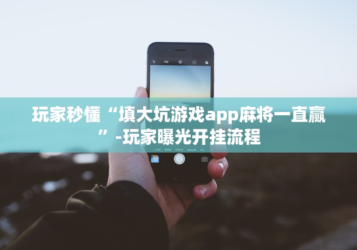 玩家秒懂“填大坑游戏app麻将一直赢”-玩家曝光开挂流程