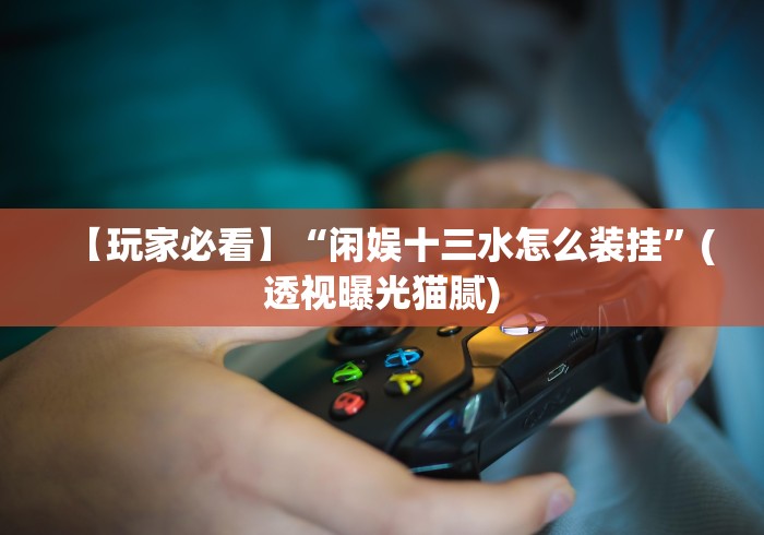 【玩家必看】“闲娱十三水怎么装挂”(透视曝光猫腻)