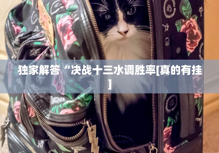 独家解答“决战十三水调胜率[真的有挂]