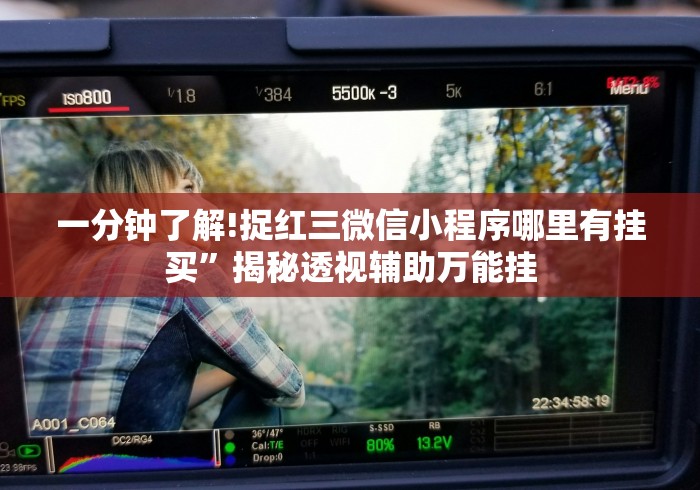 一分钟了解!捉红三微信小程序哪里有挂买”揭秘透视辅助万能挂