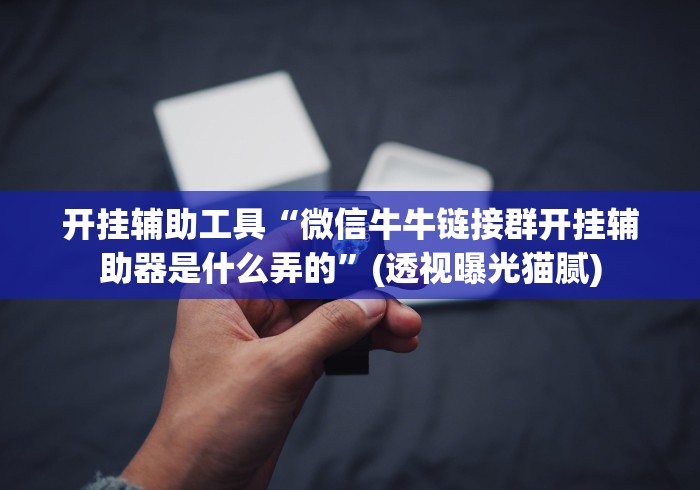 【今日头条】“微乐填大坑app辅助器最新版”原来确实有挂!