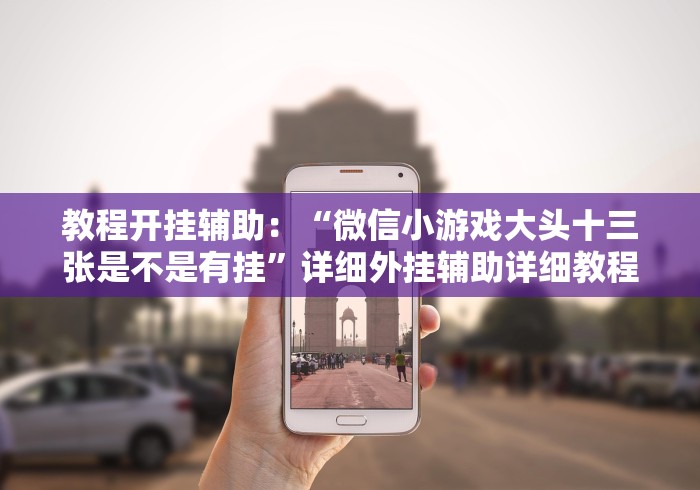 教程解析“十三道有挂吗的确可以开挂”开挂(透视)辅助教程