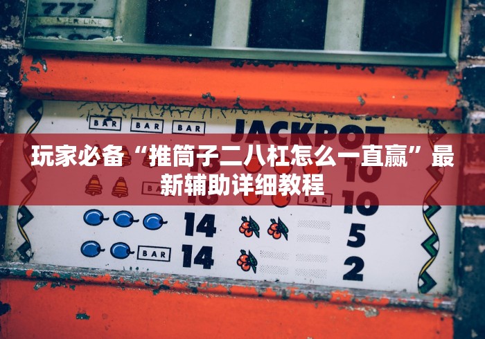 玩家必备“推筒子二八杠怎么一直赢”最新辅助详细教程