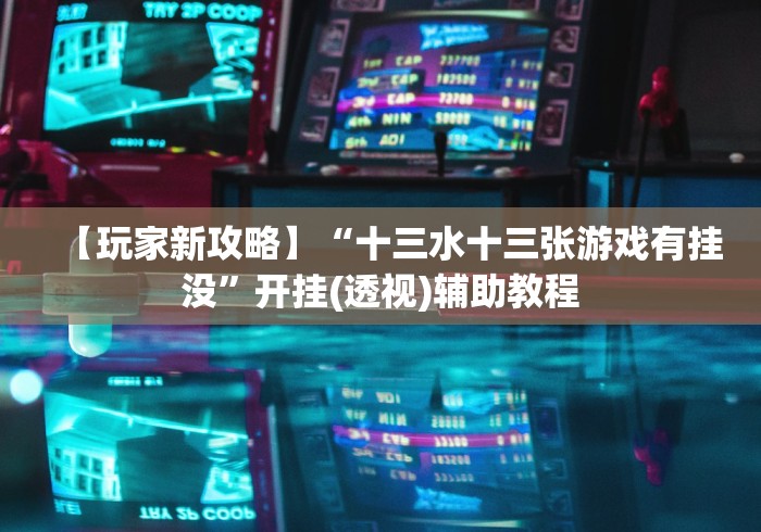 【玩家新攻略】“十三水十三张游戏有挂没”开挂(透视)辅助教程