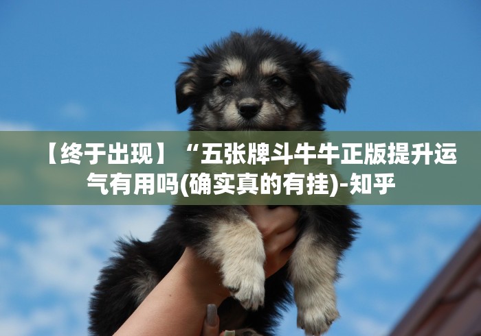 一分钟讲解“白金岛歪胡子正版有挂吗有的”详细外挂辅助详细教程