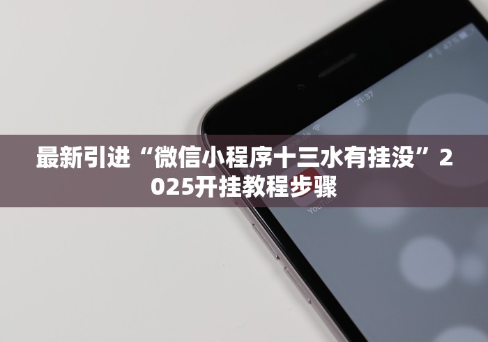 最新引进“微信小程序十三水有挂没”2025开挂教程步骤