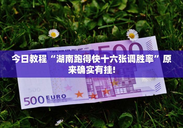 实测脚本“开心十三张安卓手游怎么下载挂？_游戏_玩家_工具