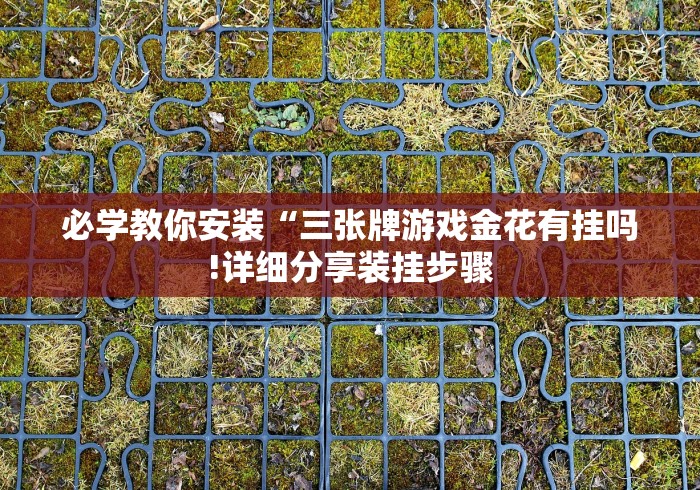 【第一消息】“宁海十三张其实是可以开挂”开挂(透视)辅助