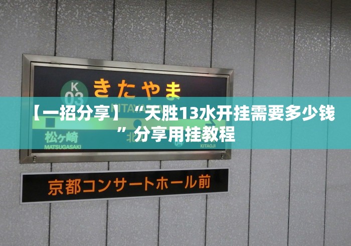【一招分享】“天胜13水开挂需要多少钱”分享用挂教程
