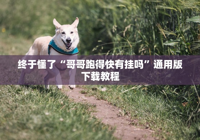 终于懂了“哥哥跑得快有挂吗”通用版下载教程 终于懂了“哥哥跑得快有挂吗”通用版下载教程