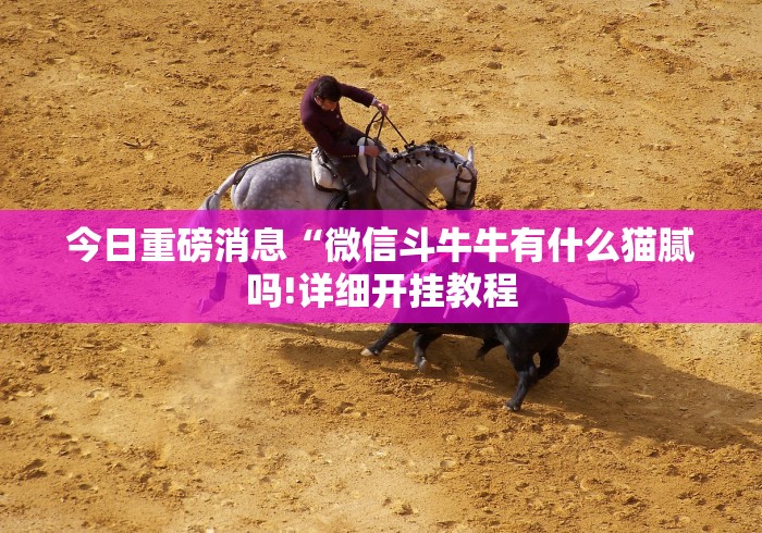 【第一消息】“多乐跑胡子开挂先试用再购买”(原来确实是有挂)