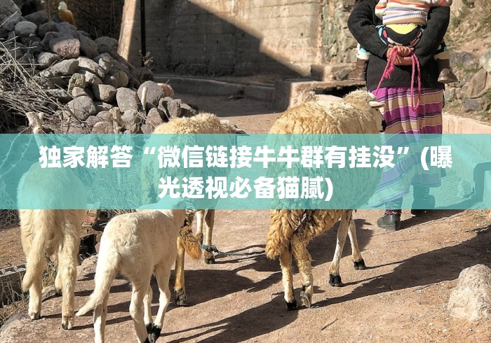 独家解答“微信链接牛牛群有挂没”(曝光透视必备猫腻) 独家解答“微信链接牛牛群有挂没”(曝光透视必备猫腻)