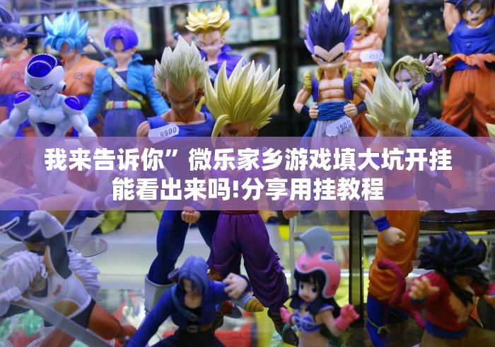 我来告诉你”微乐家乡游戏填大坑开挂能看出来吗!分享用挂教程