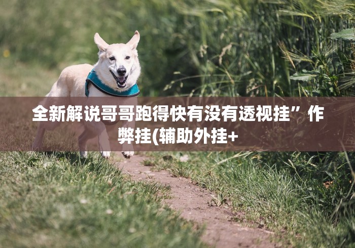 玩家秒懂“千岛湖十三道有假吗”(透视)开挂详细教程