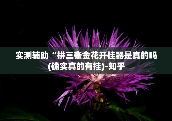 实测辅助“拼三张金花开挂器是真的吗(确实真的有挂)-知乎