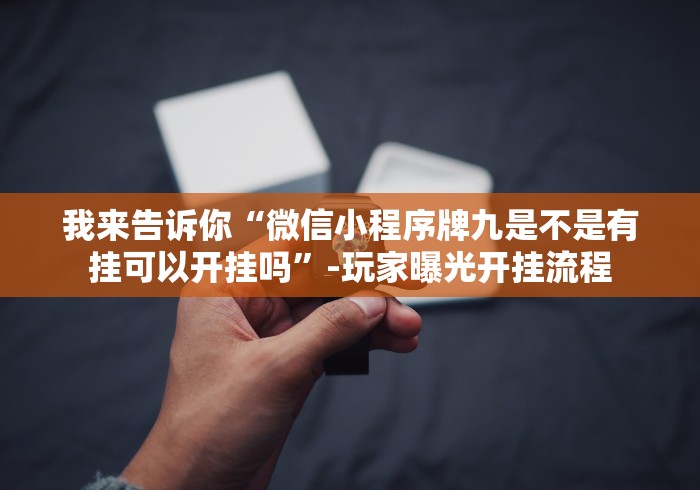 两分钟了解微乐家乡游戏填大坑开挂下什么软件？_游戏_玩家_工具