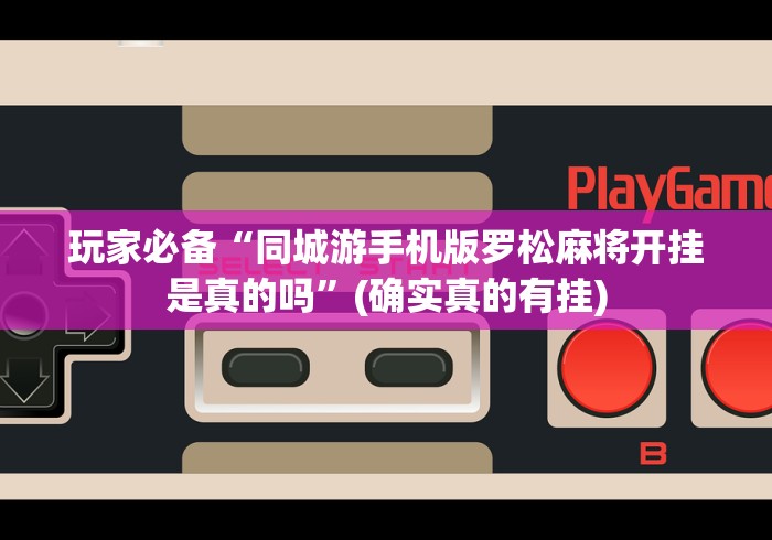 【玩家必看】“十三水17张可以买挂吗”(原来确实是有插件)