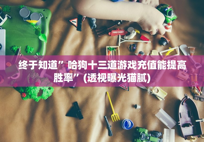 今日分享“怎么在微信玩填大坑怎么设置只赢不输”详细外挂辅助详细教程