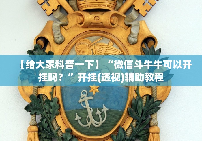 【终于出现】“口袋十三张安卓怎么免费用挂(确实真的有挂)-知乎