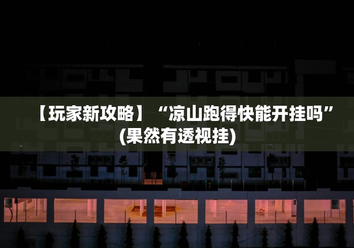 我来告诉你”皮皮跑胡子安卓版有没有透视挂!”开挂安装教程