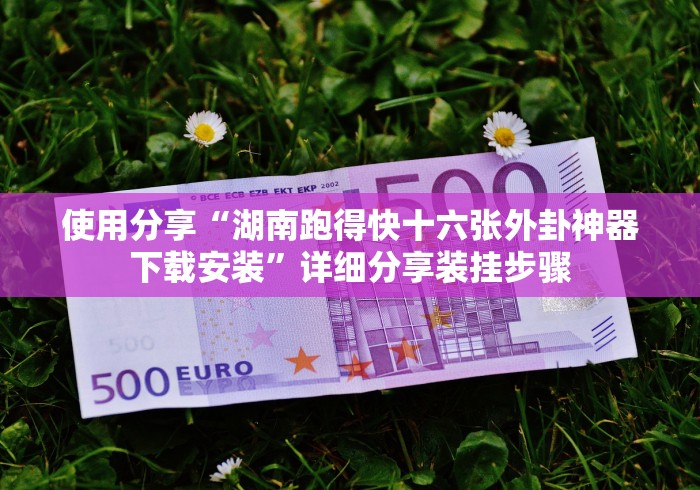 使用分享“湖南跑得快十六张外卦神器下载安装”详细分享装挂步骤