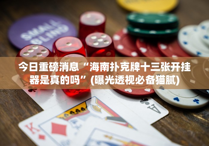 今日重磅消息“海南扑克牌十三张开挂器是真的吗”(曝光透视必备猫腻)