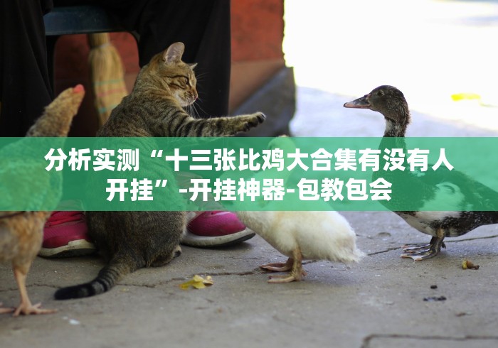 【终于出现】“神皇大厅牌九可以开挂吗!详细分享装挂步骤