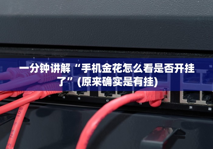 一分钟讲解“手机金花怎么看是否开挂了”(原来确实是有挂)