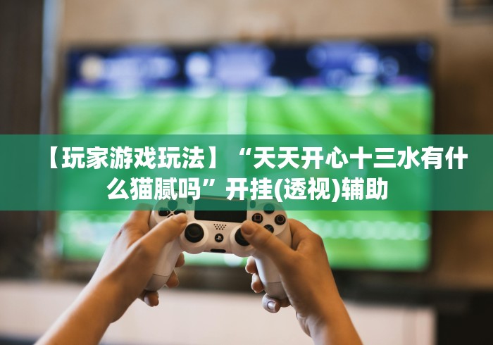 【玩家游戏玩法】“天天开心十三水有什么猫腻吗”开挂(透视)辅助