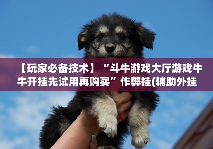 【独家发现】“微信财神十三张怎样赢”揭秘透视辅助万能挂