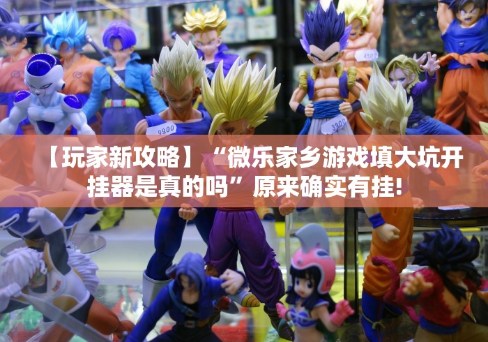 【给大家科普一下】“链接上决战十三水必赢神器”(果然有透视挂)