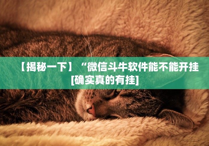 两分钟了解常德跑胡子有挂怎么看出来”(详细透视教程)