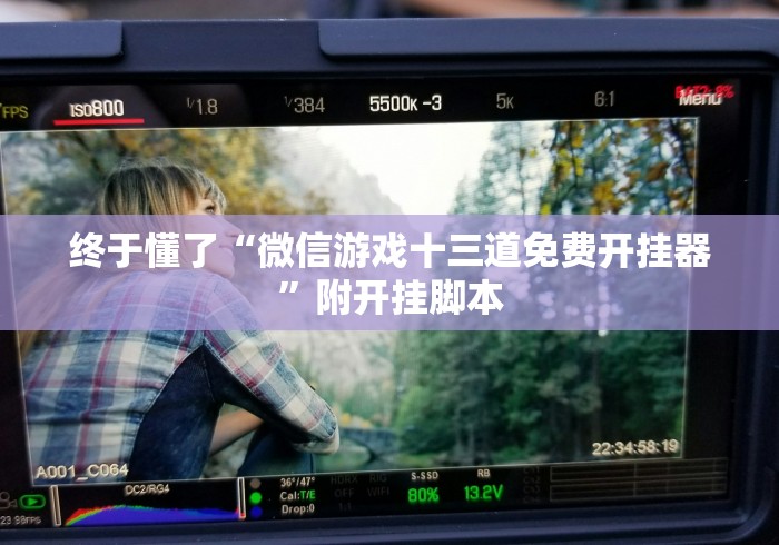 终于懂了“微信游戏十三道免费开挂器”附开挂脚本